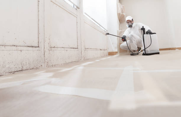24/7 Emergency Commercial Mold Remediation experts in Dumfries, VA